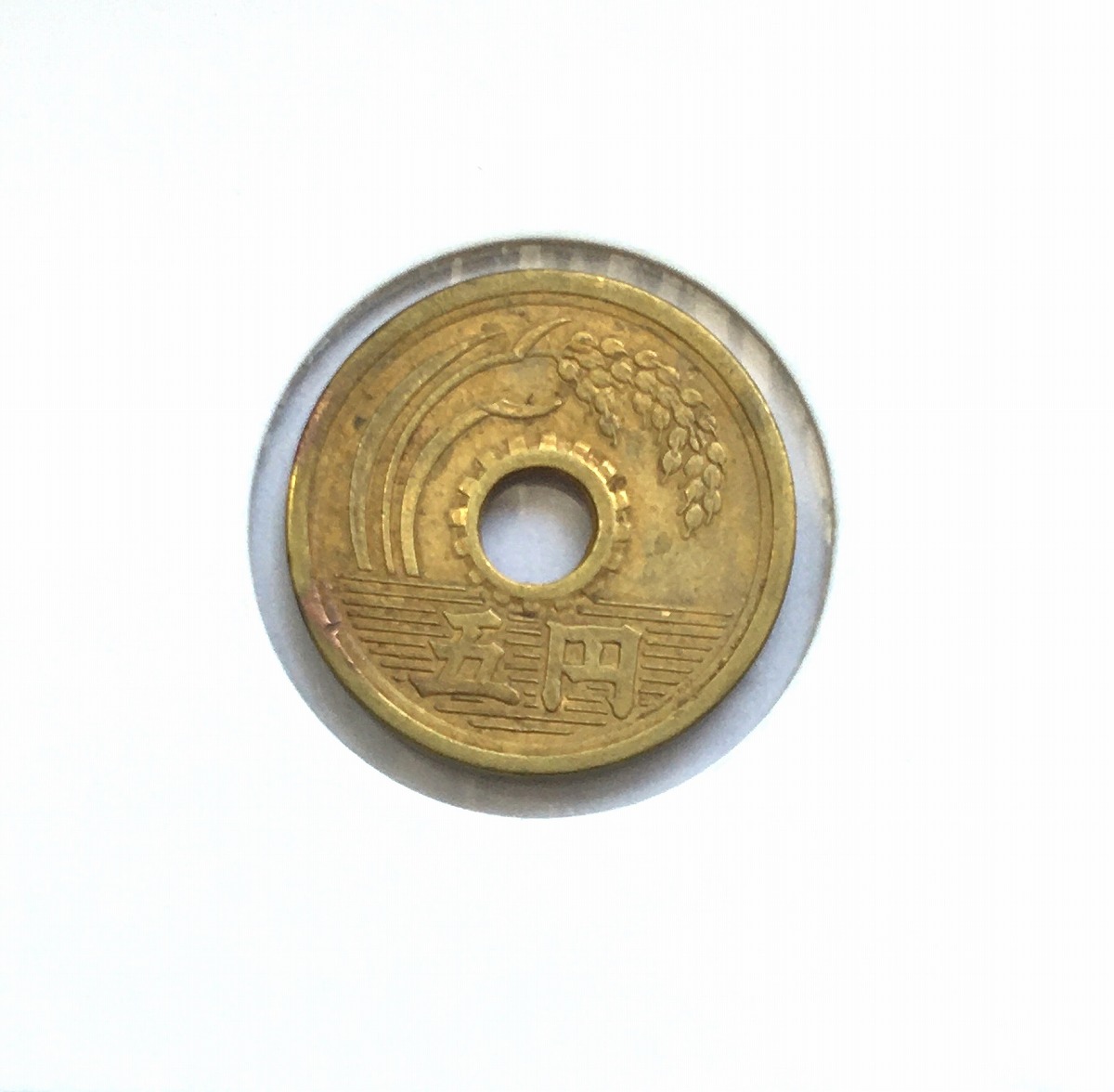 1950年(昭和25年) 5円黄銅貨 (楷書体) 直径22mm 極美品