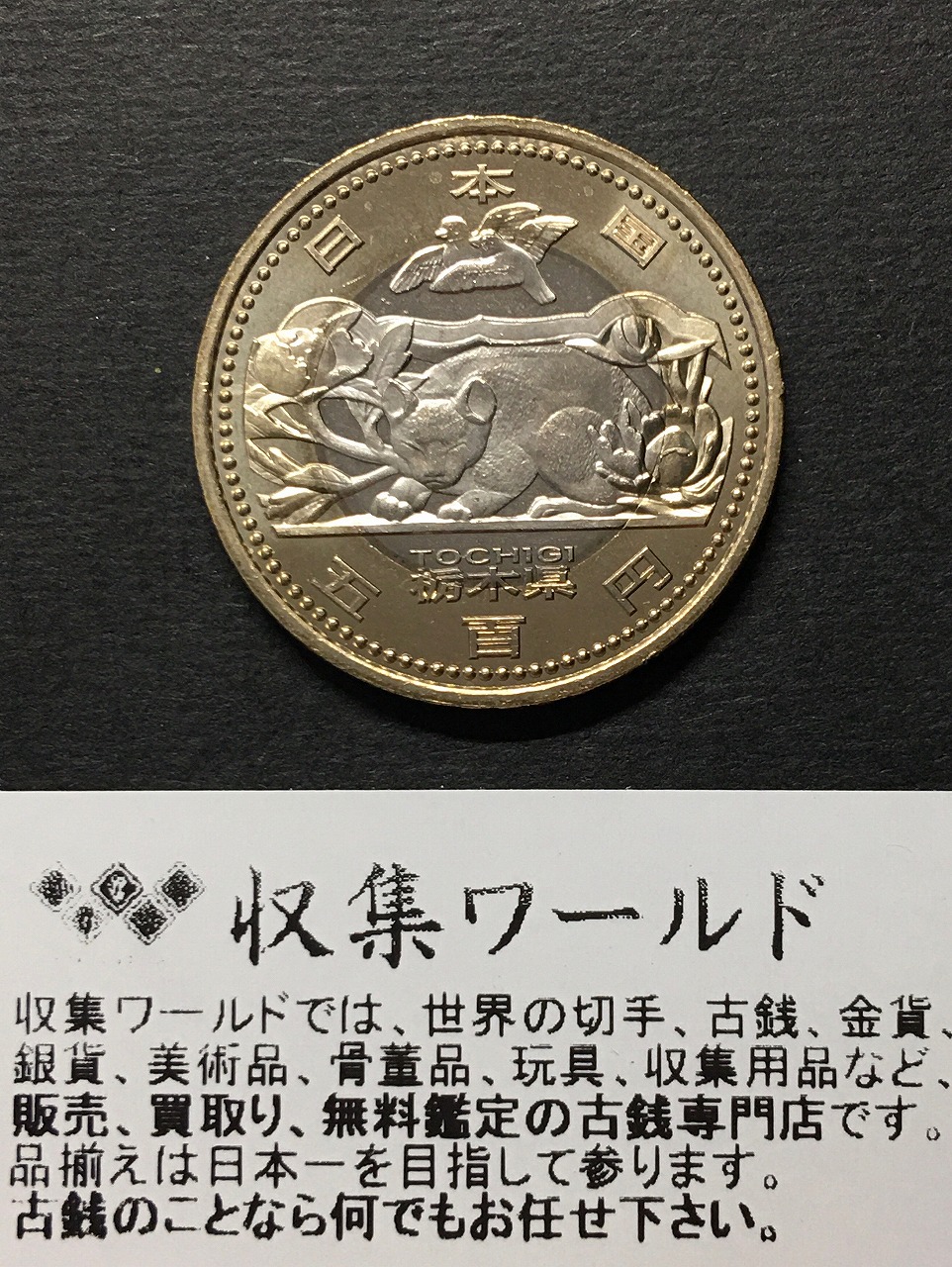 500円バイカラークラッド貨 地方自治法施行60周年記念貨幣 栃木県