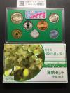 2004年銘版(平成16年) 桜の通り抜け 御衣黄 貨幣セット 銀メダル入り 完未品