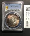 米国 1ドル銀貨 1882年準特年/モルガンダラー/Sマーク PCGS-MS63