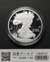 USA イーグル 1ドル銀貨 2013年銘 ウォーキング・リバティ 1oz 未使用