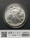 USA イーグル 1ドル銀貨 1988年銘 ウォーキング・リバティ 1オンス 極美品-1113