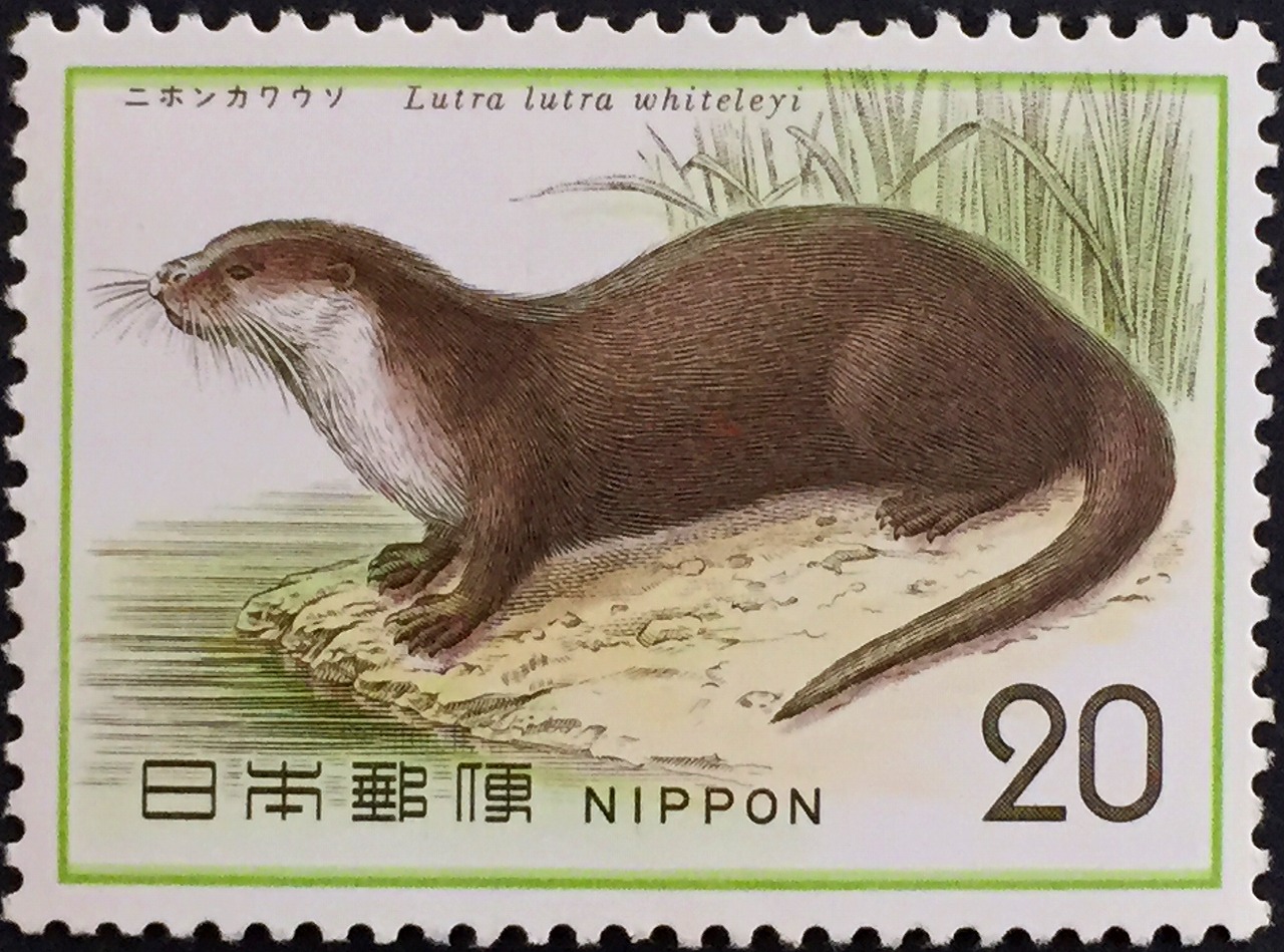 1974年　自然保護シリーズ第1集　哺乳類　ニホンカワウソ　20円