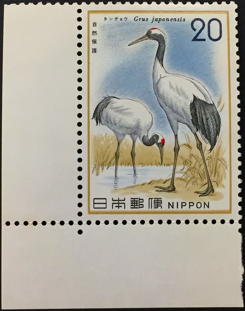 1975年　自然保護シリーズ第2集　鳥類　ダンチョウ　20円