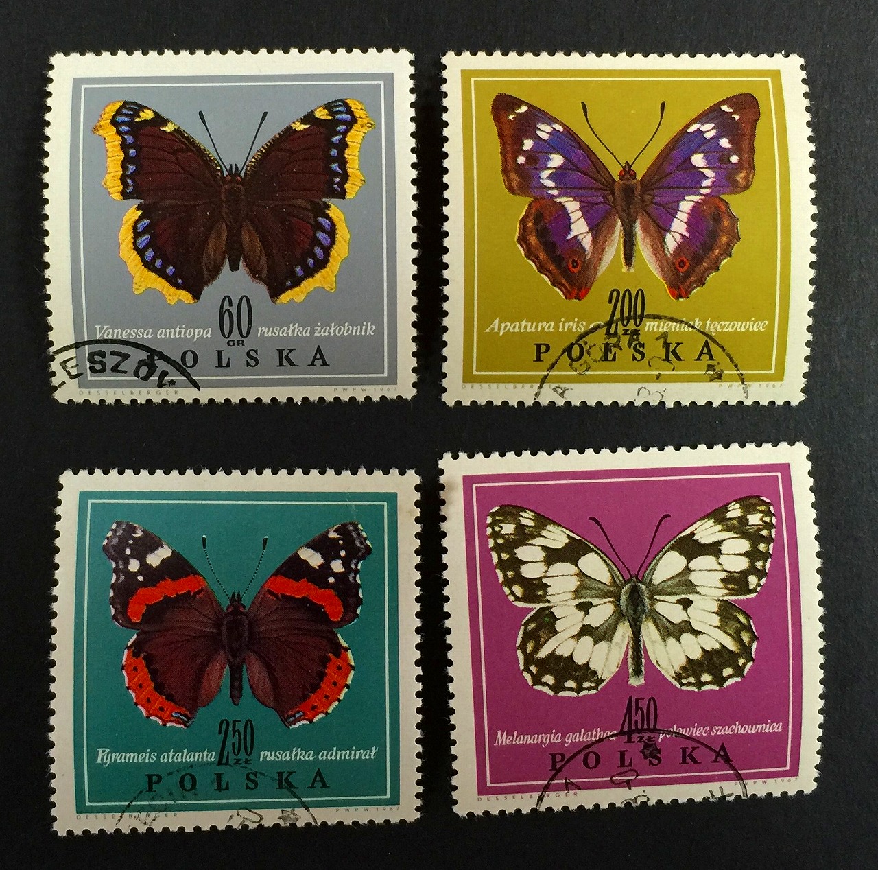 外国切手POLSKA 蝶切手4枚セット