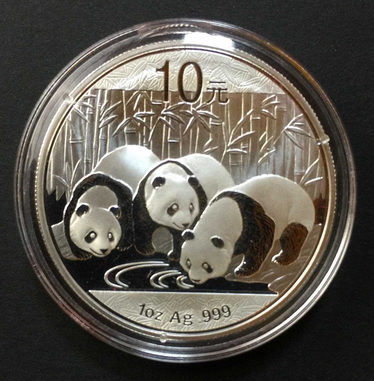 中国パンダ銀貨 2013年10元 ケース付き | 収集ワールド
