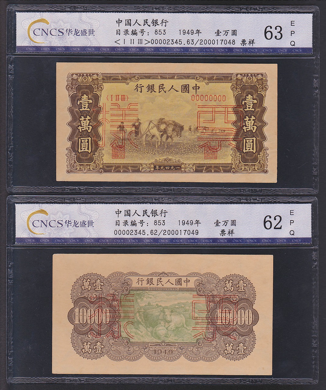 中国紙幣 1949年 第一版 壹萬圓　見本券 グレード鑑定品 2枚セット