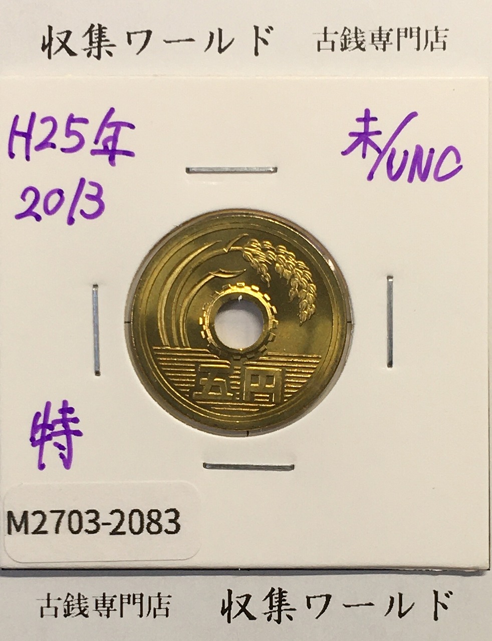 特年 5円黄銅貨 ゴシック体 2013年(平成25年) 特年 未使用-2083
