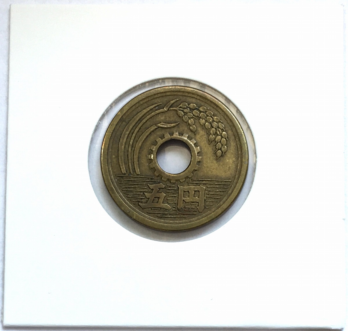 1951年(昭和26年) 5円黄銅貨(楷書体) 特年 極美品(重トン)