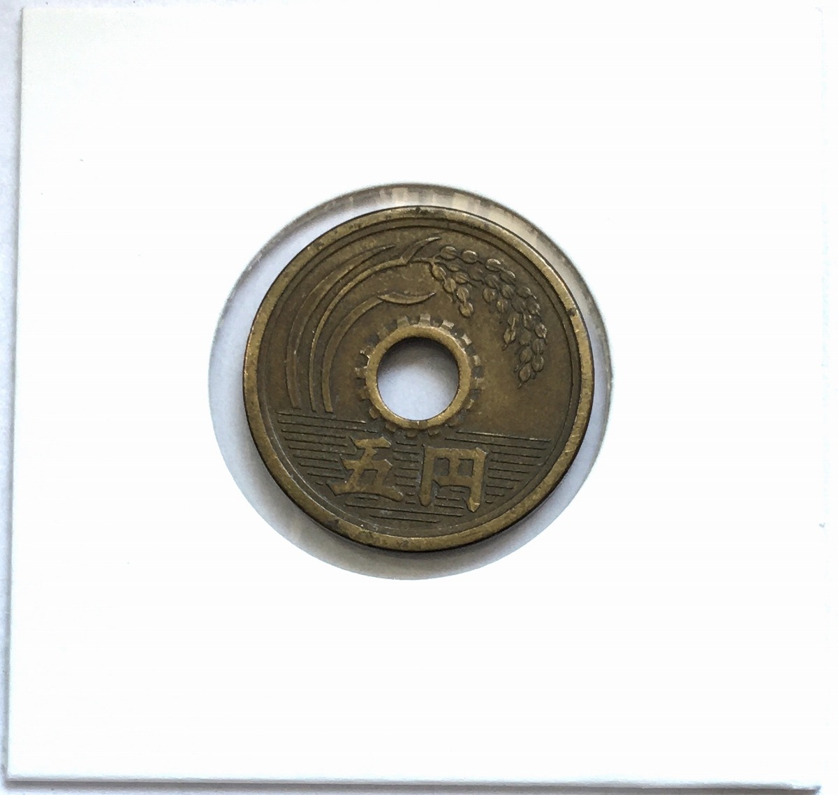 1951年(昭和26年) 5円黄銅貨(楷書体) 特年 美品(サビあり)