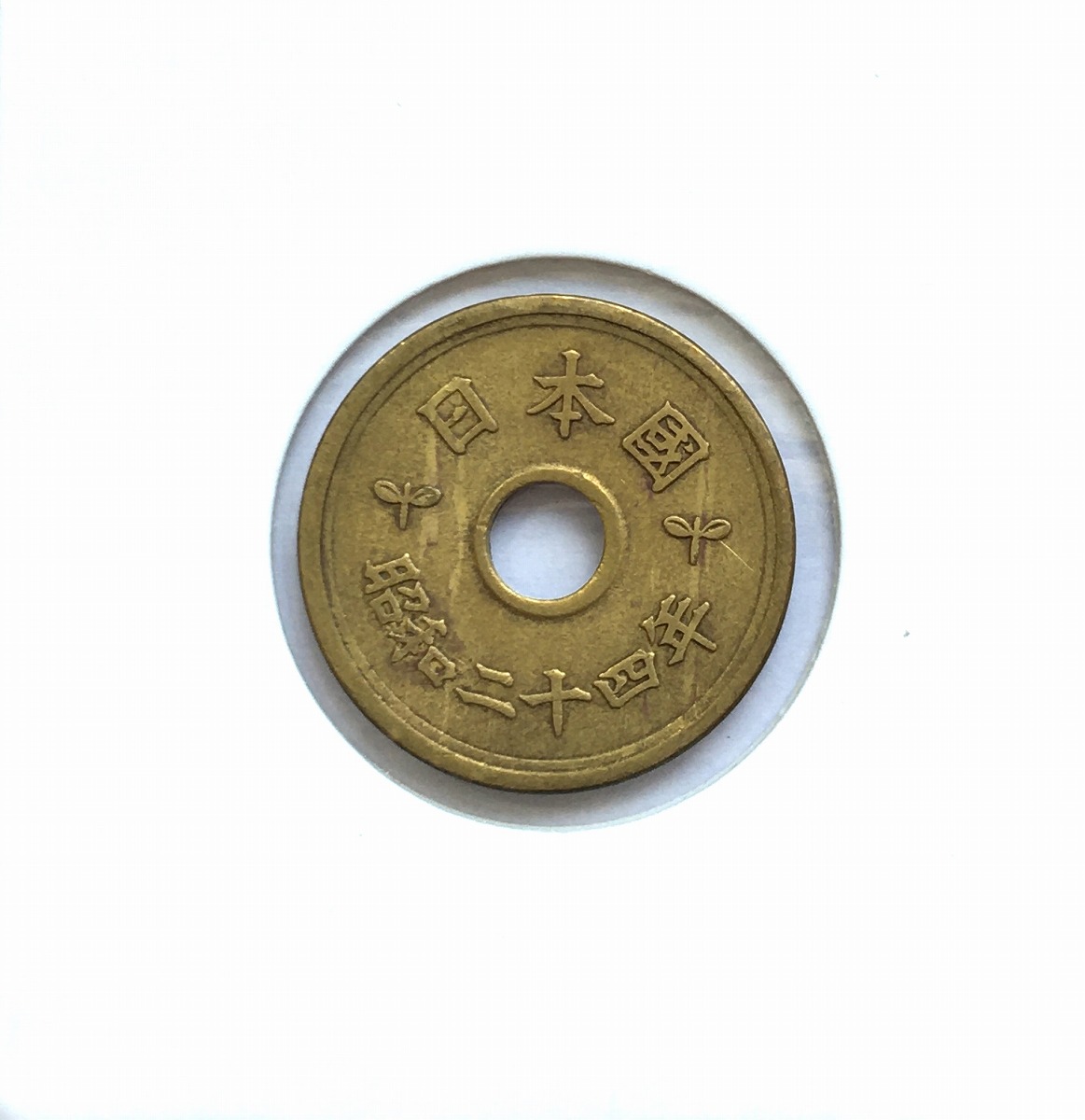 1949年(昭和24年) 5円黄銅貨 (楷書体)特年 直径22mm 美品+