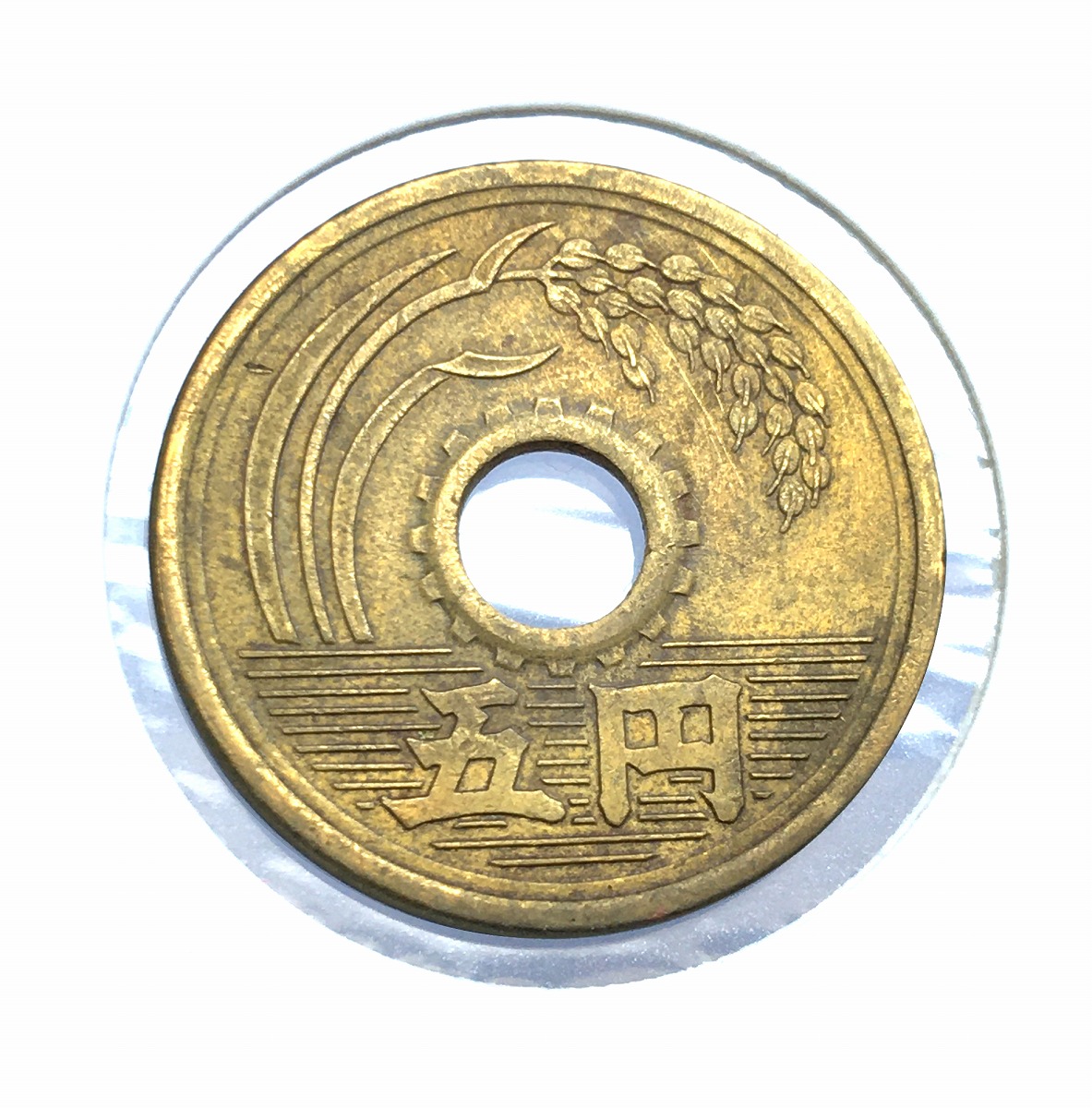期間限定キャンペーン C4216 初年度 昭和24年 5円黄銅貨 美品