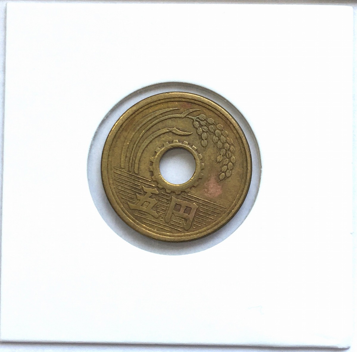 1952年(昭和27年) 5円黄銅貨(楷書体) 特年 極美品-(重トン)