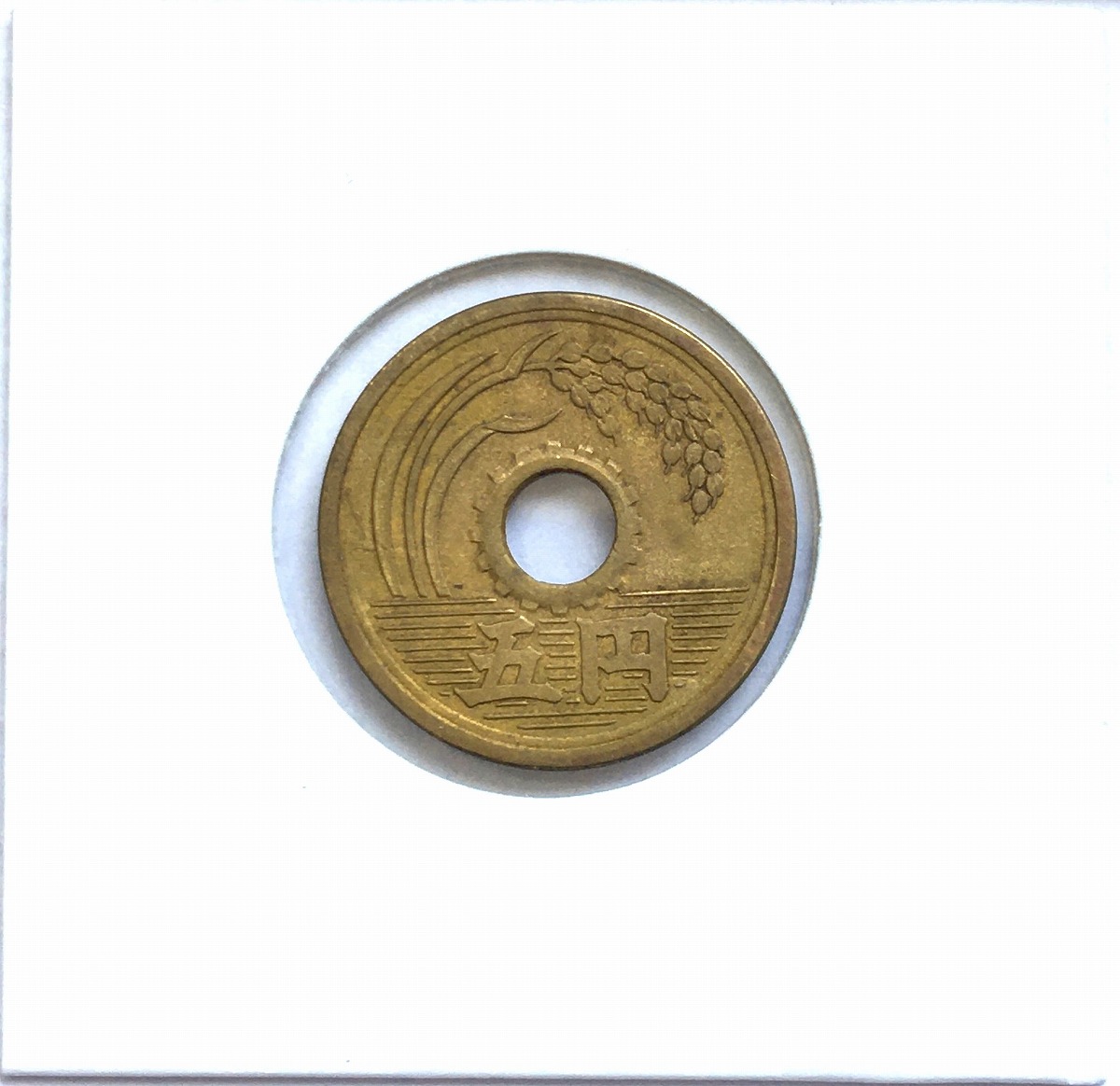 1949年(昭和24年) 5円黄銅貨 (楷書体) 直径22mm 極美品