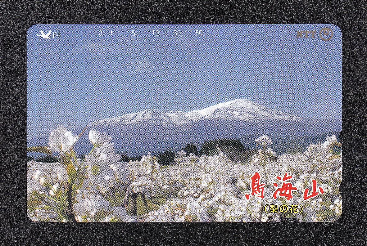 テレホンカード/50度数 1993年山形県発行 風景/鳥海山と梨の花 未使用