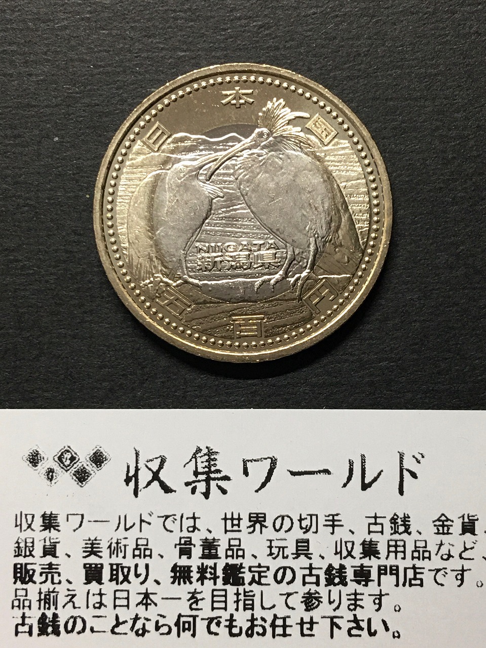 地方自治法施行六十周年記念500円貨幣収納バインダー画像で確認よろしくお願いします