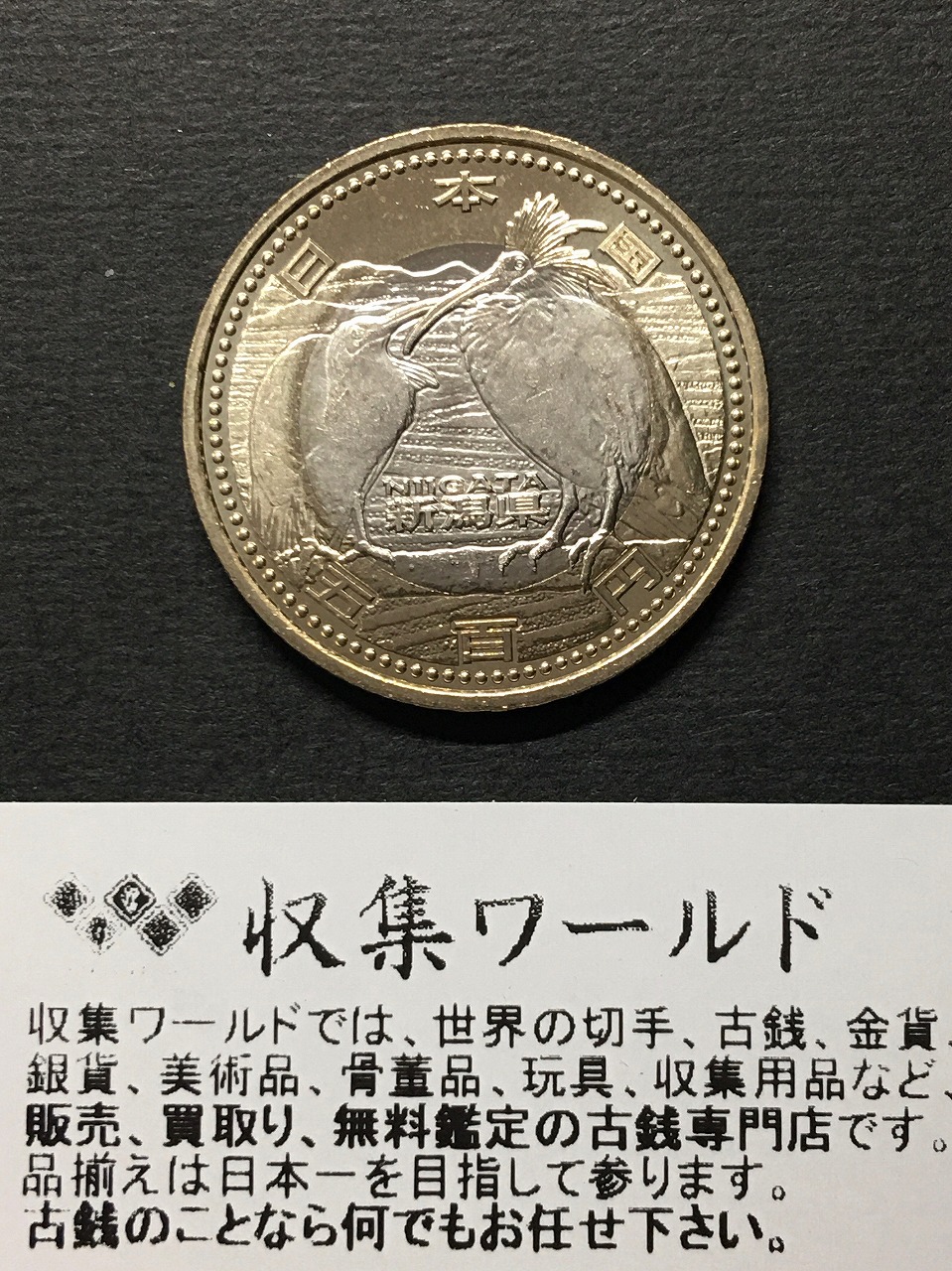 500円バイカラークラッド貨 地方自治法施行60周年記念貨幣 群馬県 