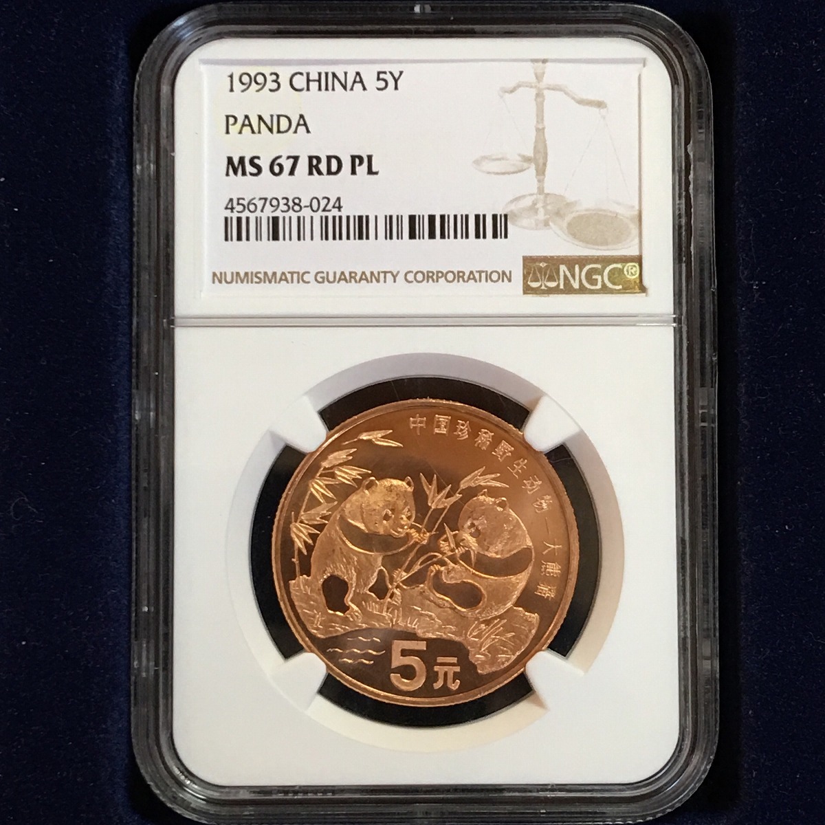 中国硬貨 1993年 5元 パンダ銅幣 NGC MS67PL